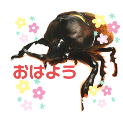 [LINEスタンプ] カブトムシ01