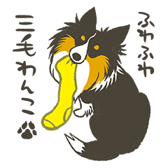 [LINEスタンプ] ふわふわ三毛犬