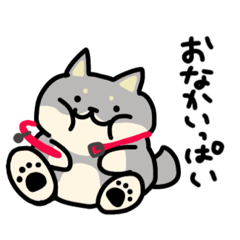 [LINEスタンプ] 365日全力イッヌ