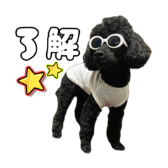 [LINEスタンプ] あずきの挨拶スタンプ✿︎