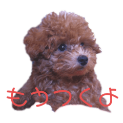 [LINEスタンプ] それいけ れおくんの画像（メイン）