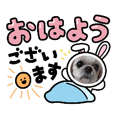 [LINEスタンプ] みののスタンプ4