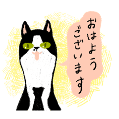 [LINEスタンプ] 丁寧なねこさん