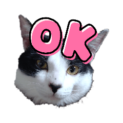 [LINEスタンプ] ねろねこ