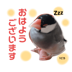 [LINEスタンプ] 我が家のアイドル♡マロン