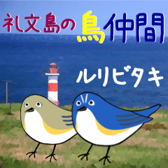 [LINEスタンプ] 礼文島の鳥仲間（ルリビタキ）