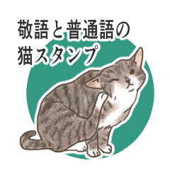 [LINEスタンプ] 敬語と普通語の猫のスタンプの画像（メイン）