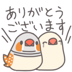 [LINEスタンプ] 【日常使い】自由なインコと文鳥たち