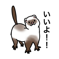 [LINEスタンプ] ポジティブ！フェレット