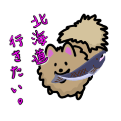 [LINEスタンプ] 全国を旅したいポメラニアンのモコ。