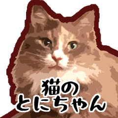 [LINEスタンプ] 猫のとにちゃん