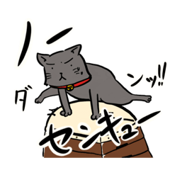 [LINEスタンプ] はす向かいのニャン子さん