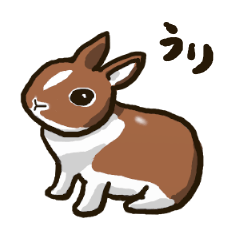 [LINEスタンプ] うりうり バニーズ(1)