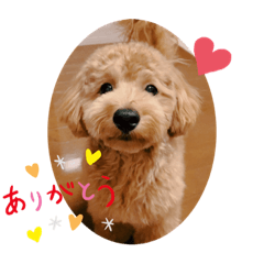 [LINEスタンプ] Ito babies
