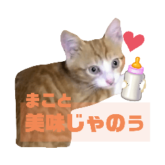 [LINEスタンプ] 6にゃんず   時代劇編