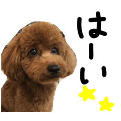 [LINEスタンプ] べるるのスタンプ(日常編)