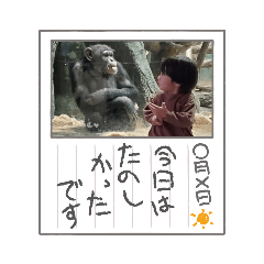 [LINEスタンプ] 虎の煌めき