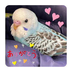 [LINEスタンプ] ゆきちゃん宅スタンプ25