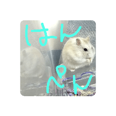 [LINEスタンプ] はんぺん1st