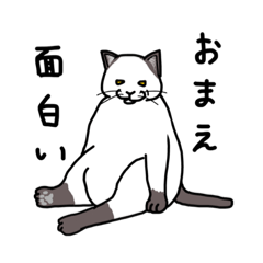 [LINEスタンプ] 猫がなんか言ってるスタンプ