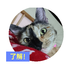 [LINEスタンプ] たわなつ2