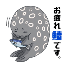 [LINEスタンプ] ゼニガタアザラシのスタンプ3