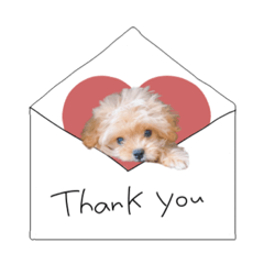 [LINEスタンプ] ♡momoko様
