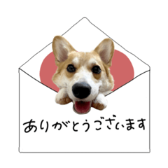 [LINEスタンプ] ♡ゆか様