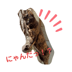 [LINEスタンプ] サビ猫ほるへの日常④あいさつ