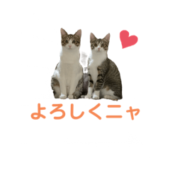 [LINEスタンプ] ユメネスハピネスご挨拶