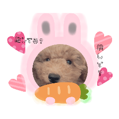 [LINEスタンプ] CHOCOトイプー   メンヘラくん