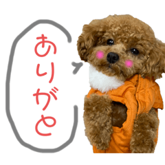 [LINEスタンプ] ジェシーちゃんスタンプ4