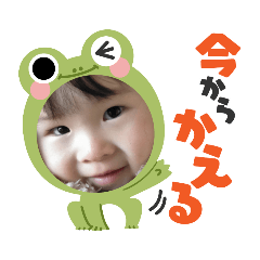 [LINEスタンプ] うちのヒナたん