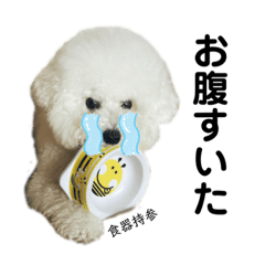 [LINEスタンプ] わんわんとうーたん