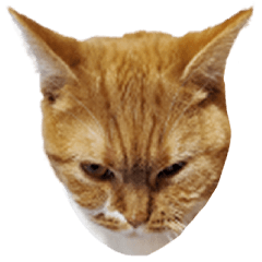 [LINEスタンプ] ウルトラ猫ソウルの画像（メイン）