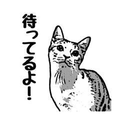 [LINEスタンプ] ねっこライフ