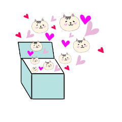 [LINEスタンプ] スーパー猫の日☆前髪にゃんこ