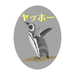 [LINEスタンプ] 神在月のペンギンスタンプ5