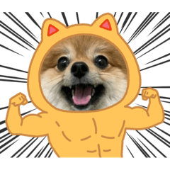 [LINEスタンプ] ガルルなな2