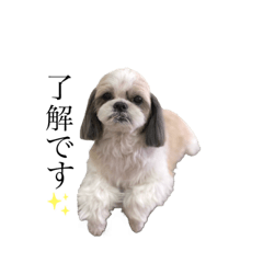 [LINEスタンプ] ちょこくんのすたんぷ2