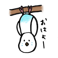 [LINEスタンプ] セキセイインコの日常(ハルクイン・水色)