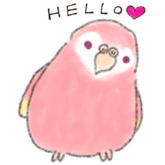 [LINEスタンプ] アキクサインコでごあいさつ