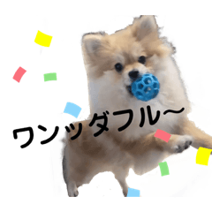 [LINEスタンプ] あざとい、こてつ 第二弾