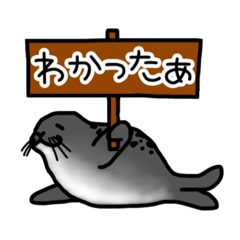 [LINEスタンプ] アザラシ日常スタンプ