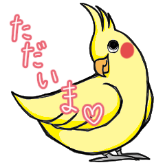 [LINEスタンプ] オカメインコのミミちゃん