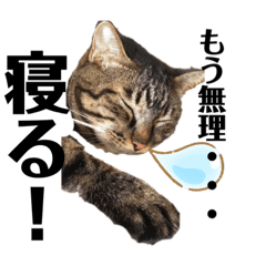 [LINEスタンプ] みんにゃ違ってみんにゃ良い