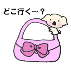 [LINEスタンプ] 寂しがり屋の白コアラ