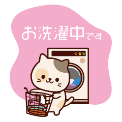 [LINEスタンプ] 毎日使えるびくたーにゃんこスタンプ