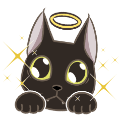 [LINEスタンプ] 黒猫のTakuくん