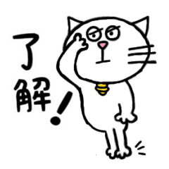 [LINEスタンプ] 動く白猫さんスタンプ♪